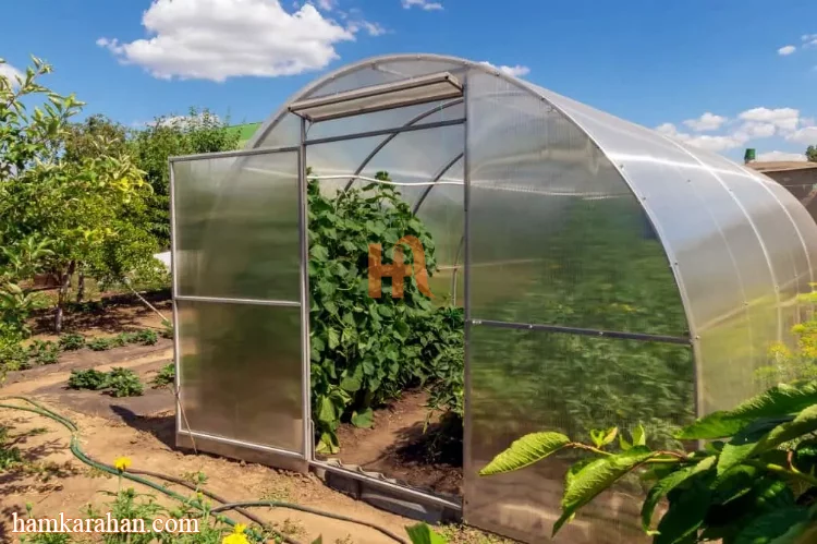 صفر تا صد ساخت گلخانه و بر آورد هزینه ساخت گلخانه